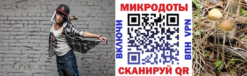 купить наркотики цена  Тетюши  Галлюциногенные грибы мухоморы 
